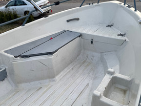 Terhi Nordic 6020 C