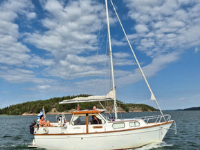 Finn Craft Other