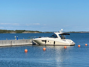 Sea Ray 370 Sundancer