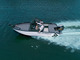 Powerboat 520 DC -valkea
