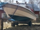 Yamarin 56 HT