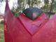 Sea-Doo GTI 130