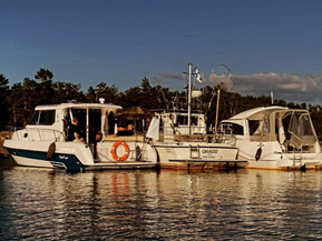 Quicksilver Muu malli