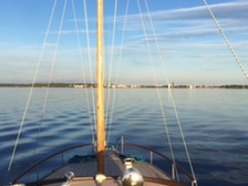 Albatross 32