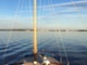 Albatross