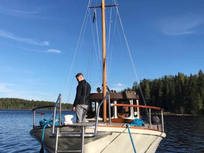 Albatross 