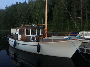 Albatross 