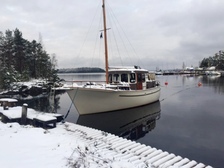 Albatross 32