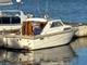 Coronet 24 family
