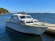 Coronet 24 family