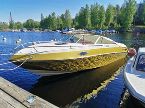 Four Winns 205 Sundowner