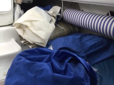 Archambault Grand Surprise