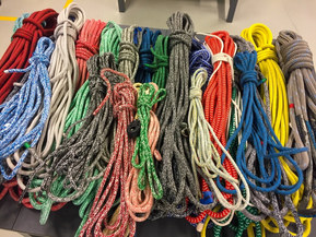 Archambault Grand Surprise