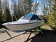 Finmar Courier