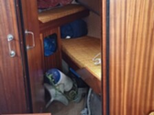 Nordic 81