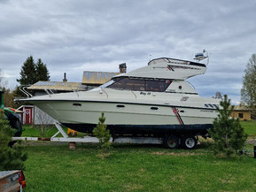 Marino Barracuda