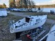 Scampi 31
