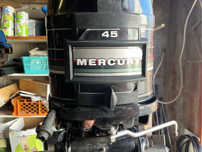 Mercury Punaraita