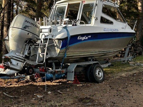 Silver Eagle Cabin 650