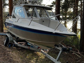 Silver Eagle Cabin 650