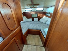 Albatross 