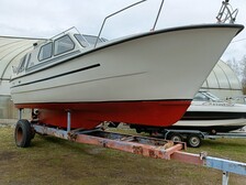 Albatross 