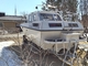 Delphin 760