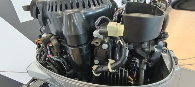 Honda BF10D  