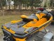 Sea-Doo RXT-X 300 RS