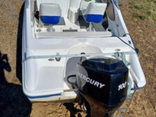 Bayliner Muu malli
