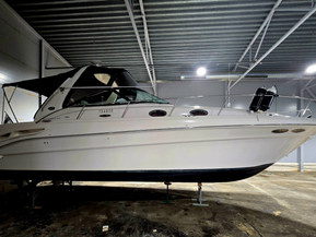 Sea Ray 
