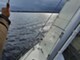 Sunwind 27