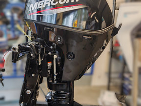 Mercury F20 ELPT EFI