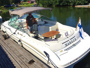 Sea Ray 280 Sun Sport