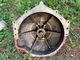 Volvo Penta Muu malli V8