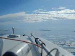 Bella 530 HT Classic