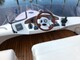 Galeon 330 Fly