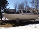 Delphin 760
