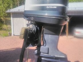 Lujitemuovivene Other