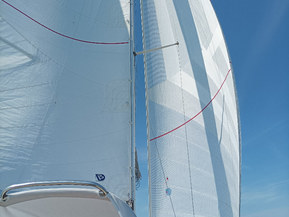 Finn Flyer 31