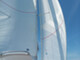 Finn Flyer 31