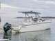 Ryck 280