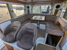 Minor 31