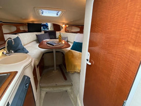 Sea Ray 260 Sundancer