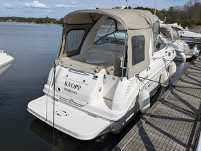 Sea Ray 260 Sundancer
