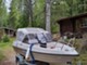 Terhi 475 BR