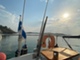 Sunwind 26