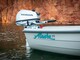 Terhi Alaska 39