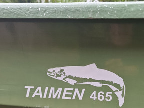 Taimen 