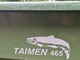 Taimen 465